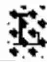 Fig. 19 - IMMUNOSUPPRESSIVE PEPTIDE