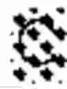 Fig. 21 - IMMUNOSUPPRESSIVE PEPTIDE