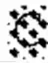 Fig. 29 - IMMUNOSUPPRESSIVE PEPTIDE