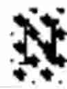 Fig. 32 - IMMUNOSUPPRESSIVE PEPTIDE
