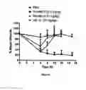 Fig. 08 - Method for Uses of Protein Precursors as Prodrugs