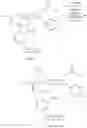 Fig. 22 - COMPOSITIONS COMPRISING LIPOCHITOOLIGOSACCHARIDES