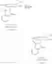 Fig. 24 - COMPOSITIONS COMPRISING LIPOCHITOOLIGOSACCHARIDES