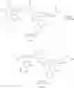 Fig. 27 - COMPOSITIONS COMPRISING LIPOCHITOOLIGOSACCHARIDES