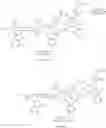 Fig. 29 - COMPOSITIONS COMPRISING LIPOCHITOOLIGOSACCHARIDES