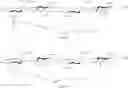 Fig. 37 - COMPOSITIONS COMPRISING LIPOCHITOOLIGOSACCHARIDES