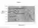 Fig. 10 - COMPOUNDS HAVING ACTIVITY IN CORRECTING MUTANT CFTR CELLULAR PROCESSING