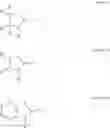 Fig. 386 - Metal complexes having azaborol ligands and electronic device having the same