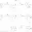 Fig. 09 - Chiral phosphorus compound