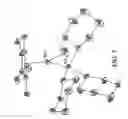 Fig. 06 - Catalyst Complex With Carbene Ligand