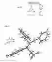 Fig. 05 - Michael reaction with recovery of the catalyst