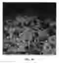Fig. 06 - Germania-silica-based sol-gel monolith and uses thereof