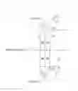 Fig. 06 - Dividing wall distillation columns for production of high-purity 2-ethylhexanol and fractionation method using same