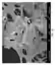 Fig. 02 - Adsorptive process for separation of Caromatic hydrocarbons