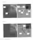 Fig. 10 - Co-use of endoluminal data and extraluminal imaging
