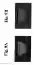 Fig. 10 - Dynamic motion contrast and transverse flow estimation using optical coherence tomography