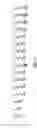 Fig. 09 - RHYTHM CORRELATION DIAGNOSTIC MEASUREMENT