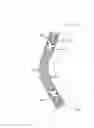 Fig. 01 - Joint brace and a movement restraining device therefor