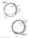 Fig. 07 - Elbow Brace