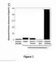 Fig. 02 - Composition for solubilizing tissue comprising 3-(decyl dimethyl ammonio) propane sulfonate and tetraethylene glycol dodecyl ether