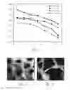 Fig. 02 - Methods of treating degenerative bone conditions