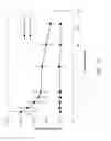 Fig. 18 - Methods of treating degenerative bone conditions