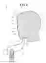 Fig. 07 - Gas mist pressure bath device