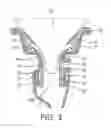 Fig. 04 - Insert for a breast pump