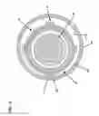 Fig. 14 - Catheter assembly