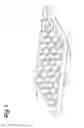 Fig. 02 - MICRONEEDLE DEVICE