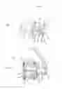 Fig. 02 - Drug delivery device with needles and roller