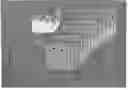 Fig. 01 - IN VITRO MICRO-ORGANS, AND USES RELATED THERETO