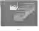 Fig. 02 - IN VITRO MICRO-ORGANS, AND USES RELATED THERETO