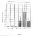 Fig. 04 - IN VITRO MICRO-ORGANS, AND USES RELATED THERETO