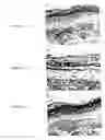 Fig. 06 - IN VITRO MICRO-ORGANS, AND USES RELATED THERETO