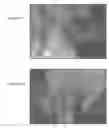 Fig. 08 - IN VITRO MICRO-ORGANS, AND USES RELATED THERETO