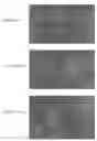 Fig. 11 - IN VITRO MICRO-ORGANS, AND USES RELATED THERETO