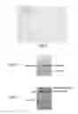 Fig. 04 - Vaccines based on targeting antigen to DCIR expressed on antigen-presenting cells