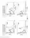 Fig. 08 - Vaccines based on targeting antigen to DCIR expressed on antigen-presenting cells