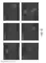 Fig. 09 - Vaccines based on targeting antigen to DCIR expressed on antigen-presenting cells