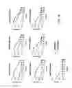 Fig. 12 - Vaccines based on targeting antigen to DCIR expressed on antigen-presenting cells