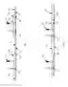 Fig. 12 - Robotic catheter system
