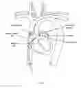 Fig. 155 - Robotic catheter system