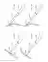 Fig. 167 - Robotic catheter system