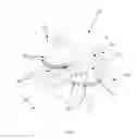 Fig. 52 - Robotic catheter system