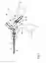 Fig. 03 - MEDICAL INSTRUMENT