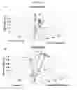Fig. 05 - Microelectorode array, methods for preparing the same and uses thereof