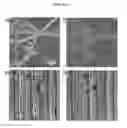 Fig. 09 - Microelectorode array, methods for preparing the same and uses thereof
