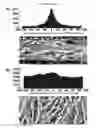 Fig. 21 - Microelectorode array, methods for preparing the same and uses thereof