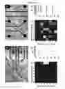 Fig. 26 - Microelectorode array, methods for preparing the same and uses thereof